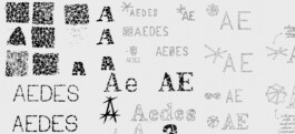 Leonardo Gava (.it)